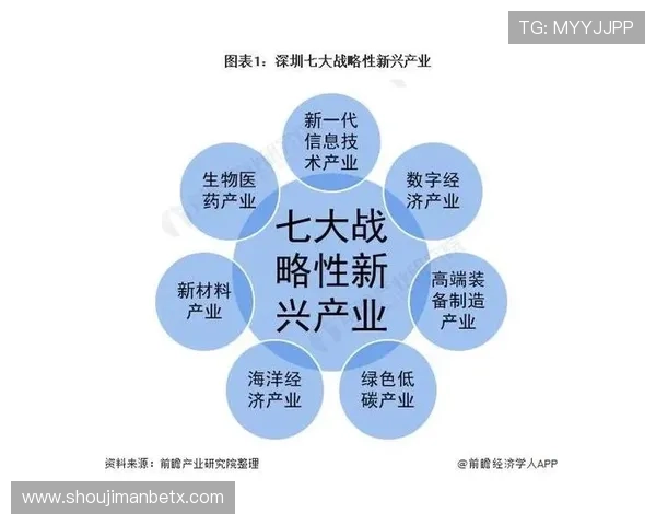 万博集团公司未来五年发展的重点方向及战略布局详解